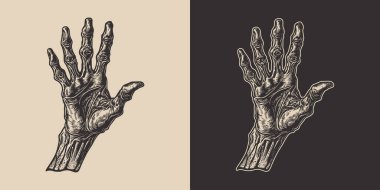 Klasik cadılar bayramı zombi zombi canavar eli kolu. Ürkütücü korkunç bir illüstrasyon. Monokrom Grafik Sanatı. Vektör. Oymacılıkta el çizimi ögesi
