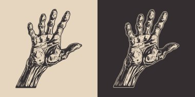 Klasik cadılar bayramı zombi zombi canavar eli kolu. Ürkütücü korkunç bir illüstrasyon. Monokrom Grafik Sanatı. Vektör. Oymacılıkta el çizimi ögesi