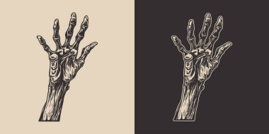 Klasik cadılar bayramı zombi zombi canavar eli kolu. Ürkütücü korkunç bir illüstrasyon. Monokrom Grafik Sanatı. Vektör. Oymacılıkta el çizimi ögesi