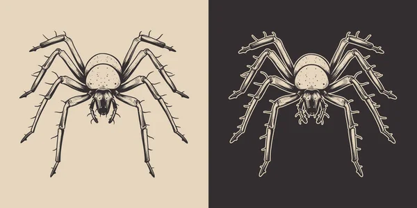 Vintage Retro Insecto Araña Halloween Arte Gráfico Monocromático Vector Elemento — Archivo Imágenes Vectoriales
