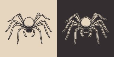 Klasik Cadılar Bayramı örümcek böceği. Monokrom Grafik Sanatı. Vektör. Oymacılıkta el çizimi ögesi