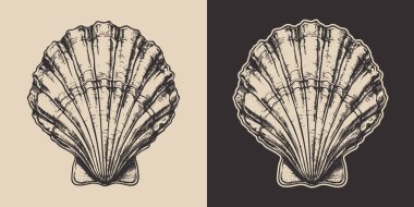 Antika oymacılık stili ahşap çizim deniz deniz kabuğu sualtı yaratığının resmini çiziyor.