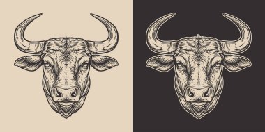 Eski model oymacılık tarzı ahşap çizim boğa kafası ön görünümü boyası