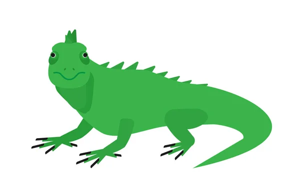 Green Iguana Vector Flat Illustration Isolated White Background — Stock Vector