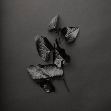 Black leaves texture pattern on black background. Black monochrome creative creative wallpaper. Texture for text and design.