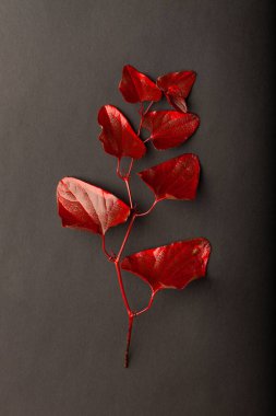 Red leaves texture pattern on black background. Red and black creative creative wallpaper. Texture for design.