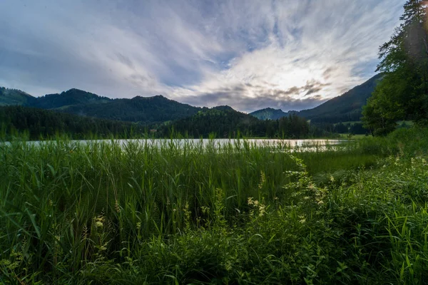 Beau Lac Montagnes Avec Herbe Verte Premier Plan — Photo