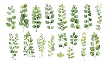 Koleksiyon vektörü illüstrasyonunu şeffaf arkaplan üzerinde suluboya yeşil yaprakları ayarla. Vektör EPS 10
