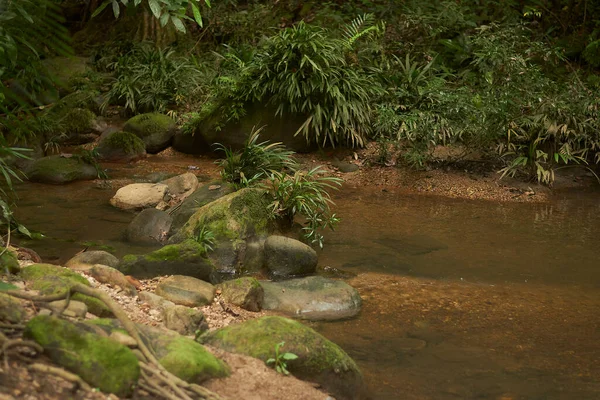 Ormanda Şelale — Stok fotoğraf