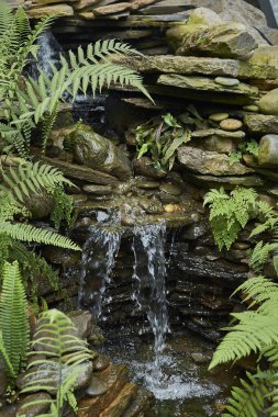 Ormanda küçük bir şelale