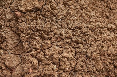Topraktaki çatlamış toprak.