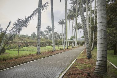 İsrail Eyaleti Adası 'ndaki parkın güzel manzarası.