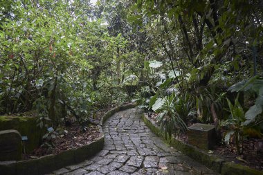 Parkın güzel manzarası