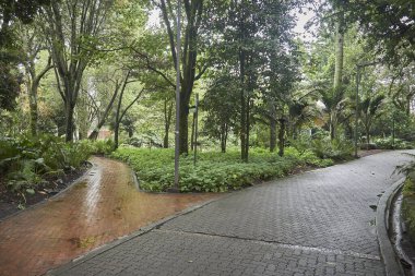 Şehir parkının güzel manzarası