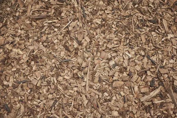 Background Dry Firewood Texture — Stock Photo, Image
