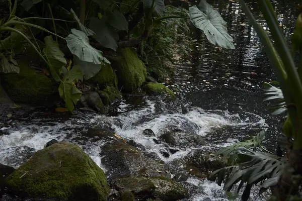 Водоспад Саду — стокове фото