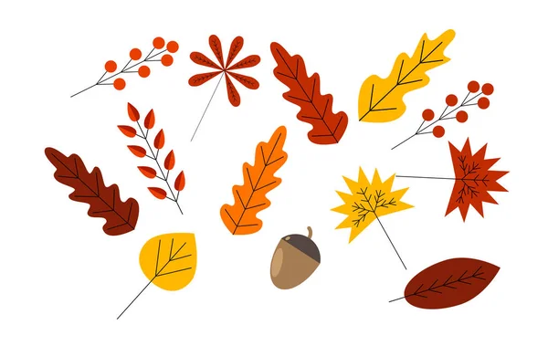 Плоские Цветные Осенние Листья Ягоды Грибы Стильная Современная Этикетка Коммерческих — стоковый вектор