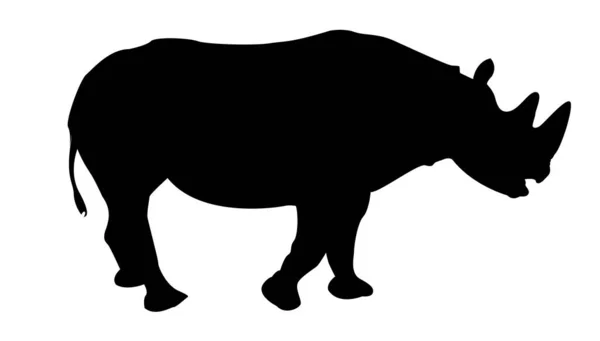 Figura Rinoceronte Isolado Arte Vetorial Whte — Vetor de Stock