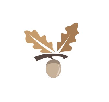 Dallı meşe palamudu ve beyaz yapraklı yaprak.