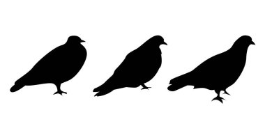 Güvercin siluetleri. Beyaz güvercin figürleri