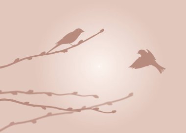 Sunlight Illustration 'da Ağaç Dalları ve Serçeler. Kuş doğası ve hayvan konsepti.