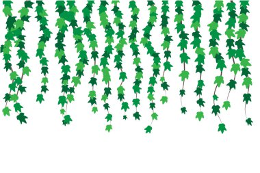 Yeşil Sarmaşık Arkaplanı. Doğa bitkileri ve çiçek konsept vektörü