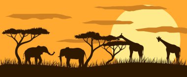 Savannah 'da Sunset Flat Style' da zürafalar ve filler. Hayvanlar ve egzotik vahşi yaşam konsepti taşıyıcısı