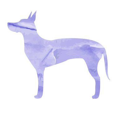 Suluboya filminde Dane Silueti. Hayvanlar ve evcil hayvanlar konsept taşıyıcısı