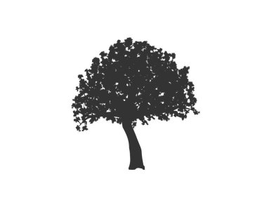 Meşe ağacı silueti. Bitkiler ve ağaçlar doğa vektör sanatı