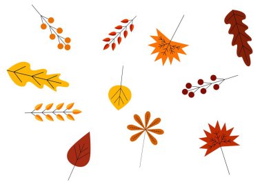 Renkli Sonbahar Yaprakları ve Böğürtlen Koleksiyonu Düz Stil. Sonbahar tasarım elemanları ve nesne vektörü
