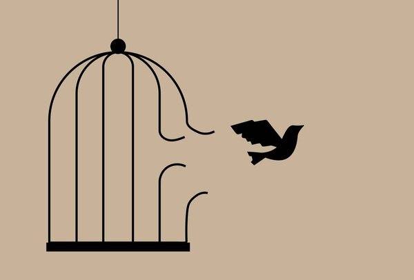 Bird Flying out of Broken Cage. Animals in captivity and breaking free vector art