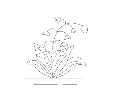 Valley Çiçek Hattı 'ndan Lily White' a izole edildi. İlkbaharda doğa, bitkiler ve çiçekler vektör sanatı