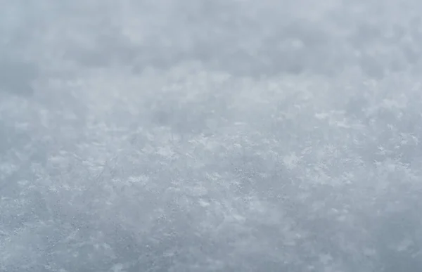 Texture of white snow crystals, snow look