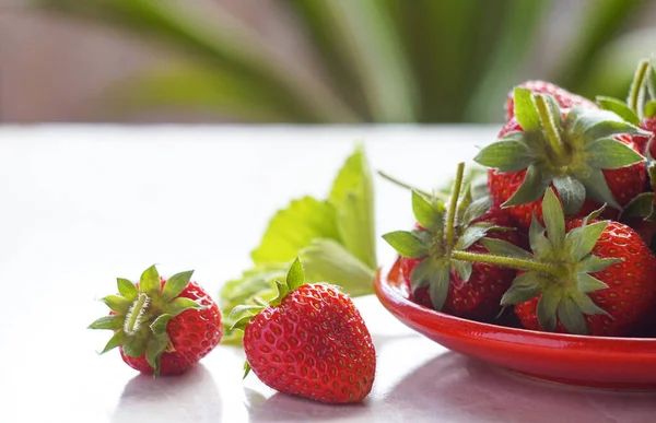 Ripe Strawberries Bowl Table — Stock Photo, Image
