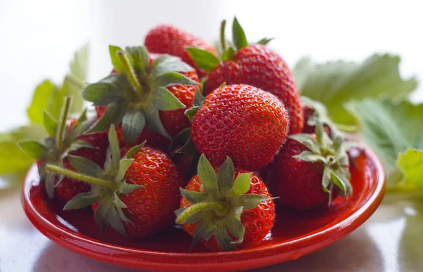 Ripe Strawberries Bowl Table — Stock Photo, Image