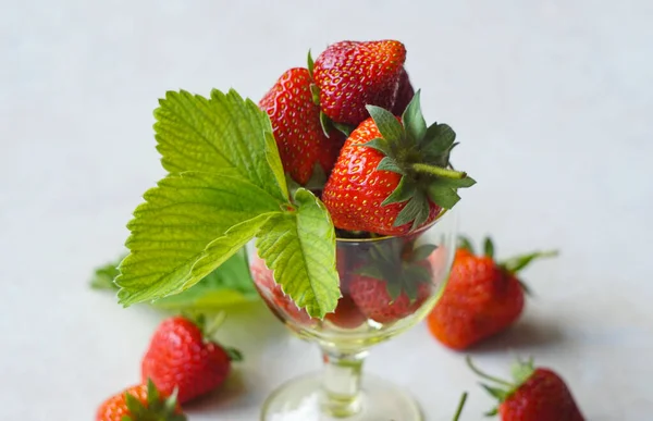 Reife Erdbeeren Und Blätter Rum — Stockfoto