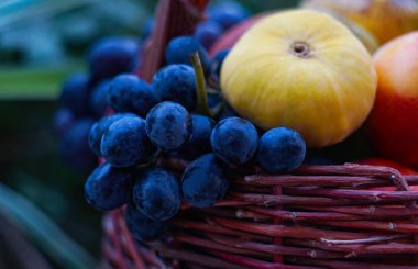                                Sepette üzüm ve çeşitli meyveler bulunmaktadır.