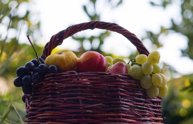                                Sepette üzüm ve çeşitli meyveler bulunmaktadır.