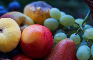                                Sepette üzüm ve çeşitli meyveler bulunmaktadır.