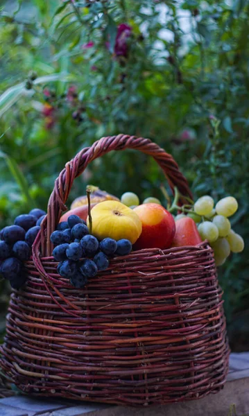 Trauben Und Verschiedene Früchte Befinden Sich Korb — Stockfoto
