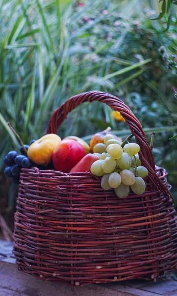 Trauben Und Verschiedene Früchte Befinden Sich Korb — Stockfoto