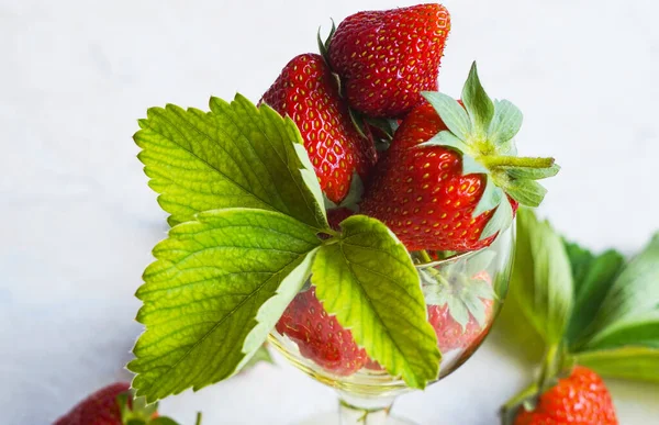 Strawberries Berries Rumka — Stock Photo, Image