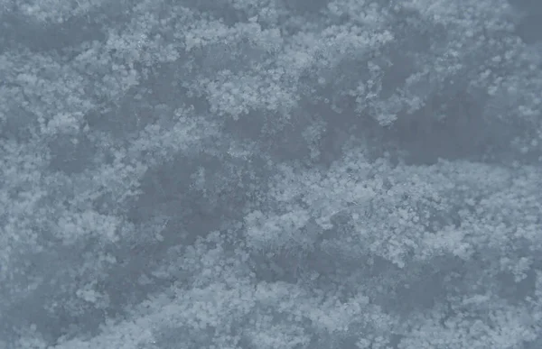 Texture White Snow Crystals — Fotografia de Stock
