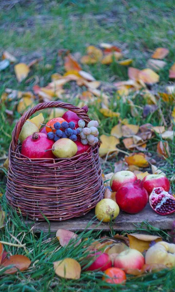 Koszyku Różne Owoce — Zdjęcie stockowe