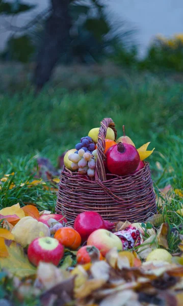 Koszyku Różne Owoce — Zdjęcie stockowe