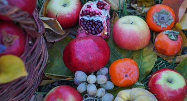 stock image                                   There are various fruits in the basket