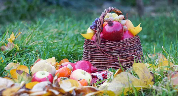 Verschiedene Früchte Korb Herbstfrüchte — Stockfoto