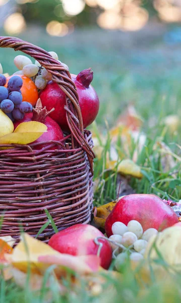 Verschiedene Früchte Korb Herbstfrüchte — Stockfoto