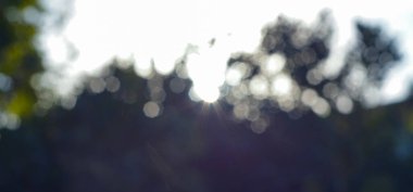                         Gün ışığı resim, bokeh arkaplan