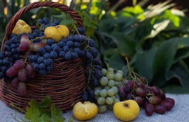                                Sepete çeşitli üzüm ve meyveler konur.